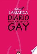 libro Diario De Un Adolescente Gay